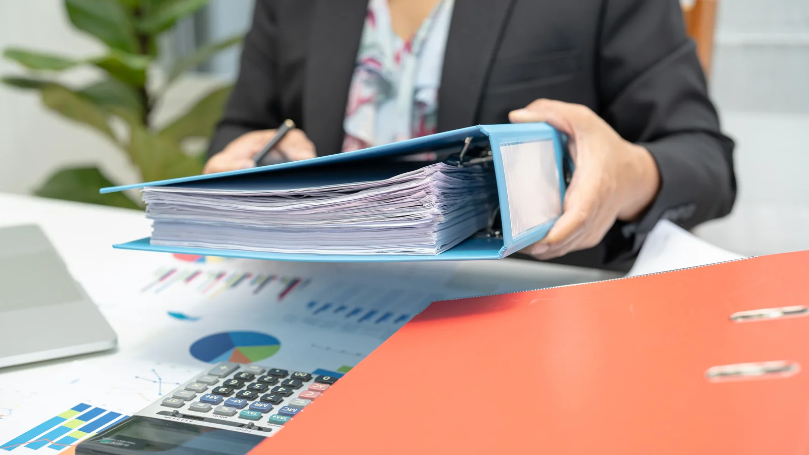 Banking sector audit