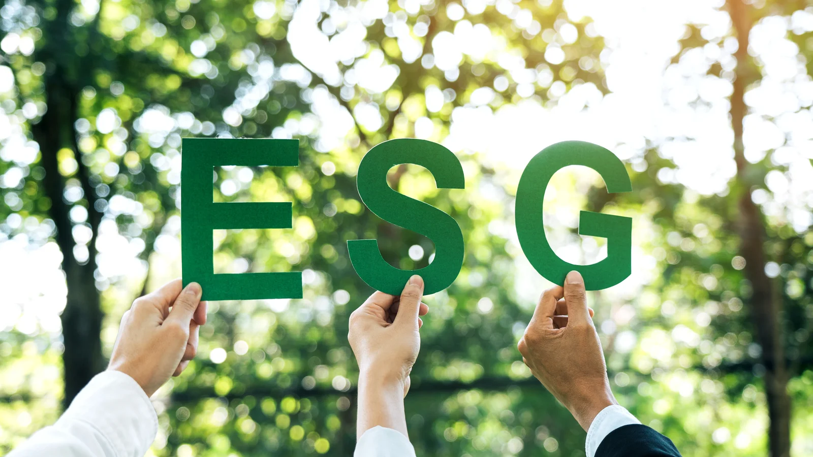 Embracing ESG: How Businesses Can Thrive with Sustainability, Social Responsibility, and Strong Governance